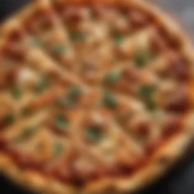 Savor the Artisanal Crust of Parmesan Pizza Gourmet Parmesan Pizza Crust