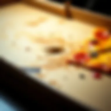 Food Residue on Pizza Box A close-up of a pizza box showing food residue