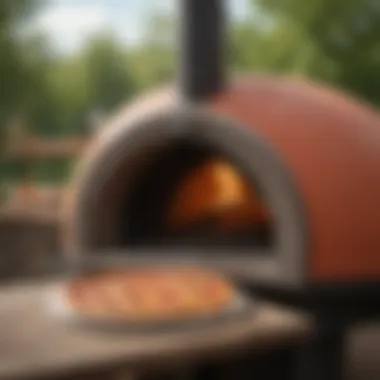 Pizza King's Wood-Fired Oven