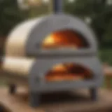 Innovative Design for Ultimate Performance Innovative Pizza Oven Design