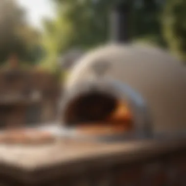 Pizza Oven Innovation