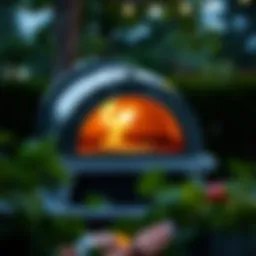 Elegant outdoor pizza oven showcasing its sleek design