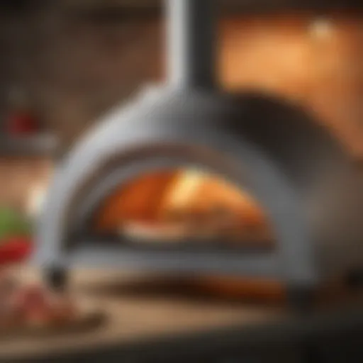 Compact and Efficient Portable Pizza Oven