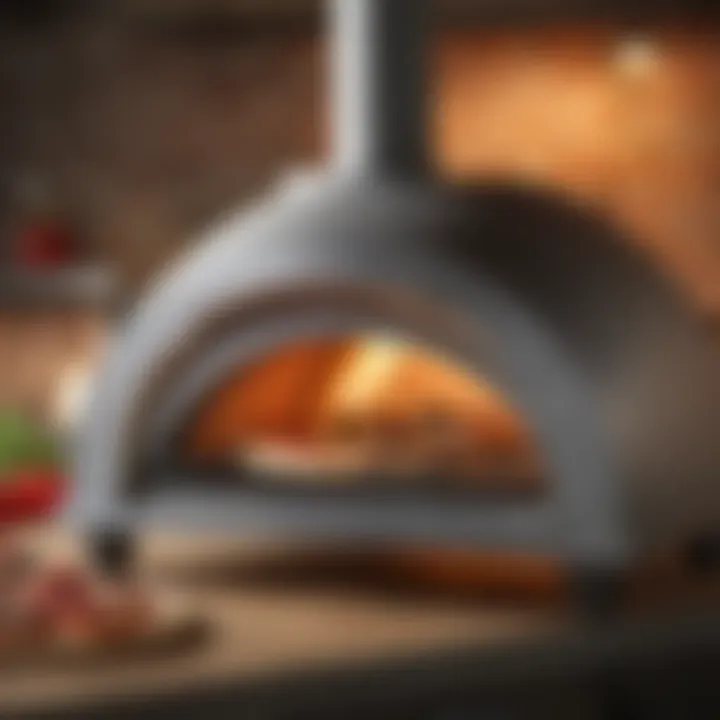 Compact and Efficient Portable Pizza Oven