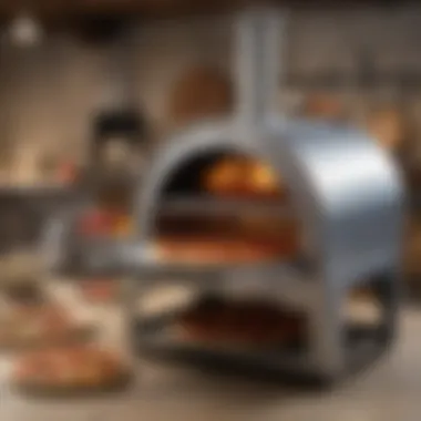 Variety of Portable Pizza Oven Models