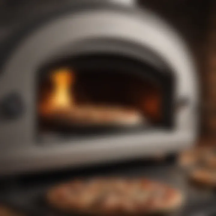 Precision Control with Gas Pizza Oven