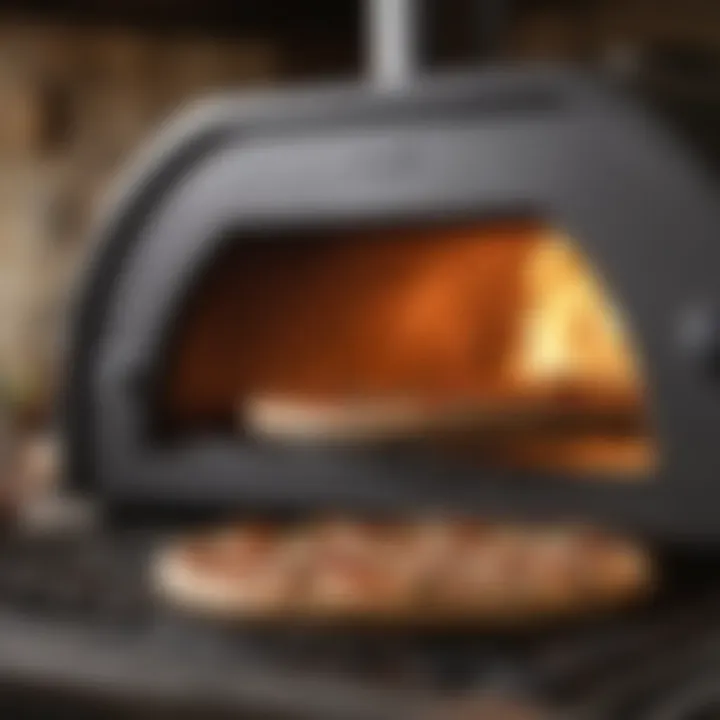 Precision Cooking with Ooni Pizza Oven