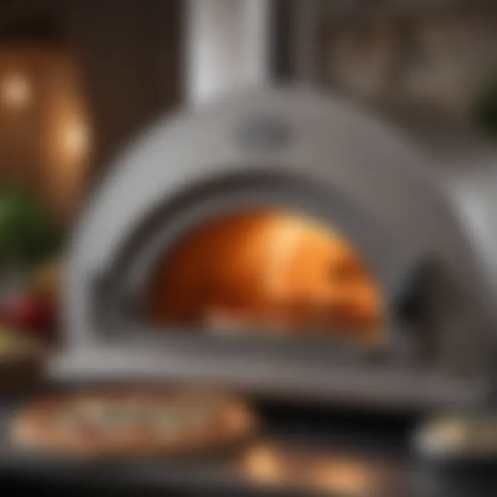 Precision Temperature Control Pizza Oven