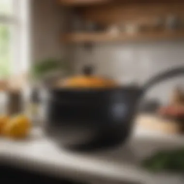 Elegant design of Rachael Ray cast iron pot on a kitchen counter