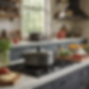 Rachael Ray cast iron pot displayed in a stylish kitchen setting