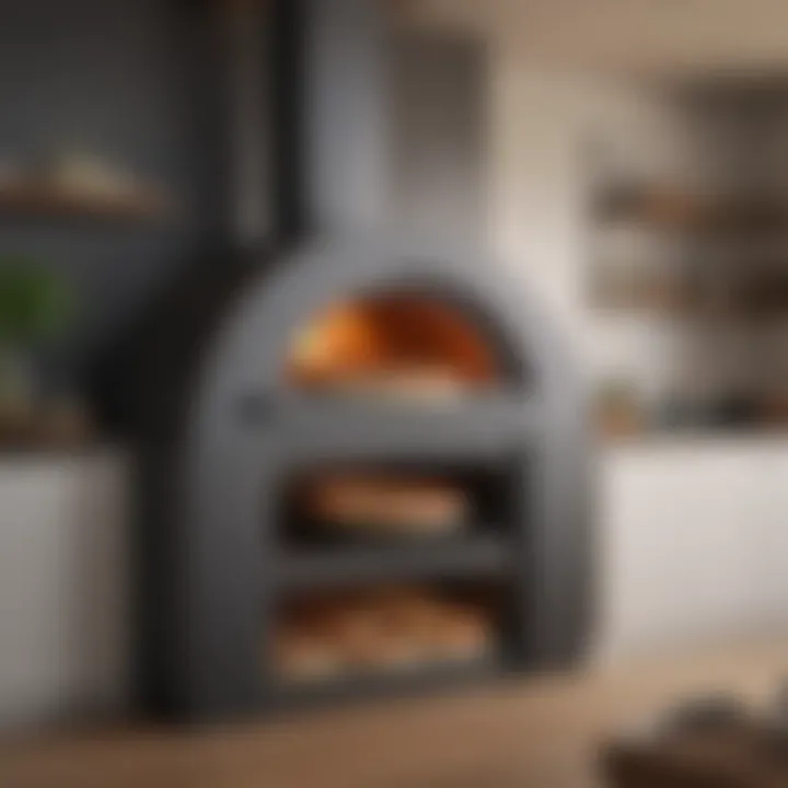 Elegant Residential Indoor Pizza Oven Design