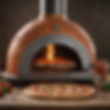 Distinctive Pizza Cone Oven Design Unique pizza cone oven design enhancing culinary experience