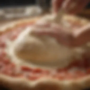 Close-up of freshly kneaded pizza dough