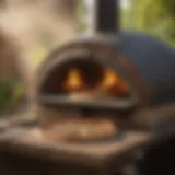 Rustic Wood-Fired Oven