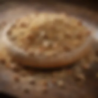 Rye Flour: The Essence of Sophistication Rye Flour: The Essence of Sophistication