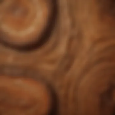 Understanding Wood Grain and Its Characteristics Close-up of wood texture and grain