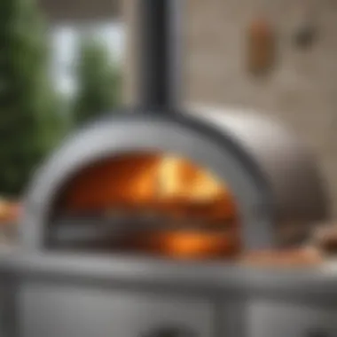 Sleek Propane Pizza Oven Aesthetics