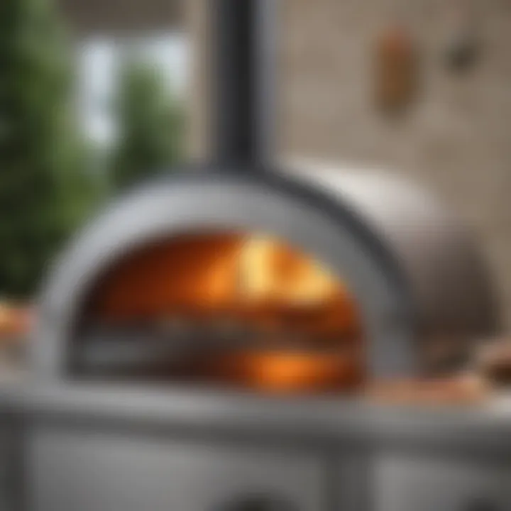 Sleek Propane Pizza Oven Aesthetics