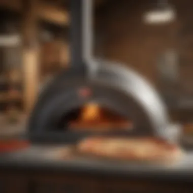 A sophisticated pizza oven