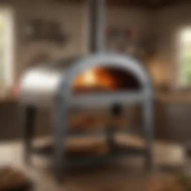 Stainless steel pizza oven with sizzling pizza