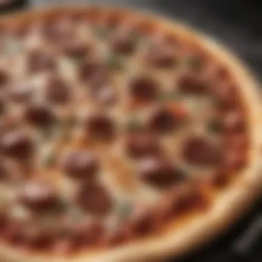 Gourmet Pizza Recipes for Bar Style Ovens A collection of gourmet pizza recipes designed specifically for bar style ovens.