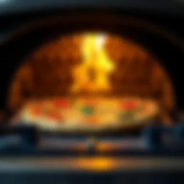 A beautifully baked pizza emerging from the oven