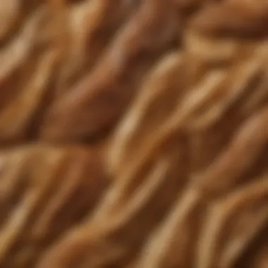 The Unique Grain of Quality Wood Close-up of the grain patterns on a wooden bread peel.