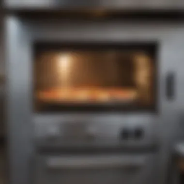 Maintenance Practices for Stainless Pizza Ovens A well-maintained stainless pizza oven emphasizing care practices.