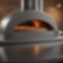 A sleek stainless steel pizza oven showcasing its modern design.