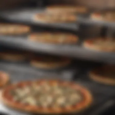 Diverse Types of Stainless Pizza Ovens An array of different types of stainless pizza ovens for various uses.