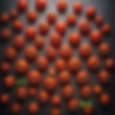 Diverse Tomato Varieties for Deep Dish Pizza Sauce Tomato Varieties