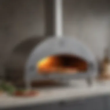 Modern stainless steel pizza oven