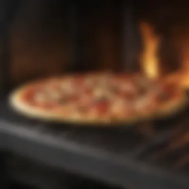 Materials used in wood fired pizza ovens