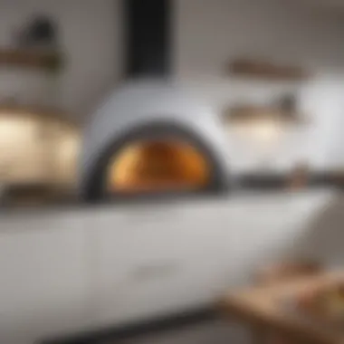 A modern kitchen showcasing a built-in pizza oven