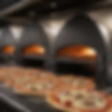 A variety of pizza ovens showcasing different styles and materials