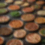 Selection of different pizza pans showcasing various materials