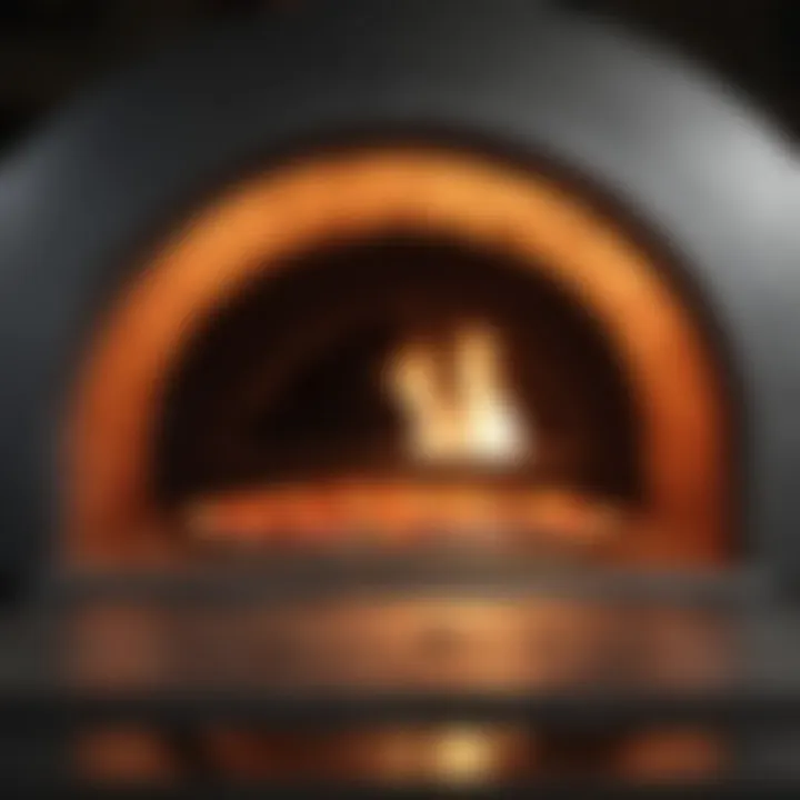 Illustration of the internal components of a NY pizza oven