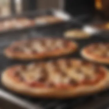 Maintenance tools and tips for preserving a pizza grill insert