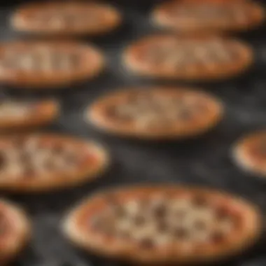 Types of Pizza Grill Inserts Variety of pizza grill inserts displayed side by side