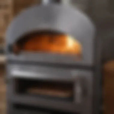 Elegant Gas Pizza Oven