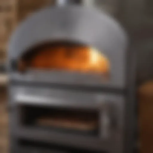 Elegant Gas Pizza Oven