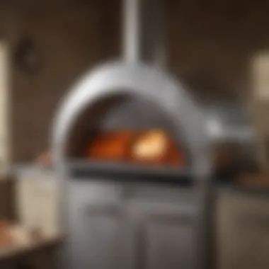 Modern Stainless Steel Pizza Oven