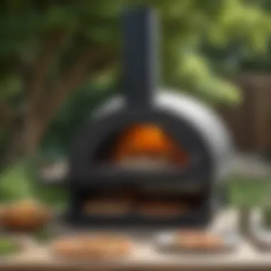 Innovative Uuni Pizza Oven Design