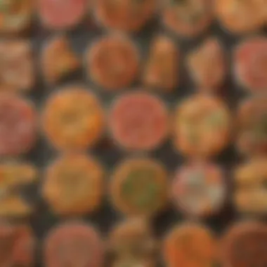 Variety comparison of frozen veggie pizzas from different brands