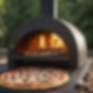 Exploring the Versatility of a Top-notch Pizza Oven Versatile pizza oven showcasing various cooking settings