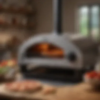 Versatile standalone pizza oven for diverse culinary creations