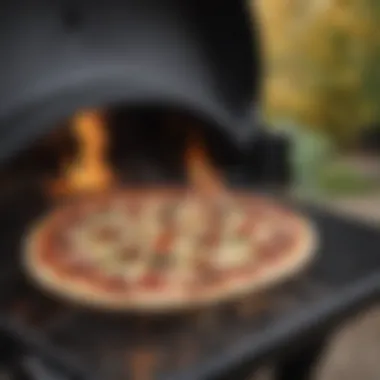 Delicious Pizza from the Weber Gas Grill Pizza Oven A mouthwatering pizza emerging from the Weber gas grill pizza oven.