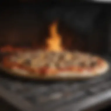 Close-up of wood being placed in the oven