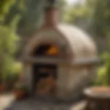 Wood-fired pizza oven in backyard setting